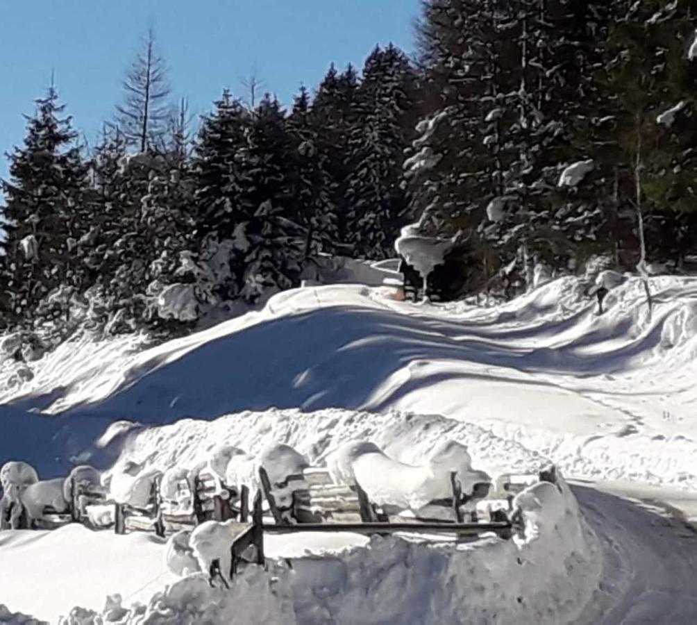 Apartment Jasmin Neustift im Stubaital Buitenkant foto