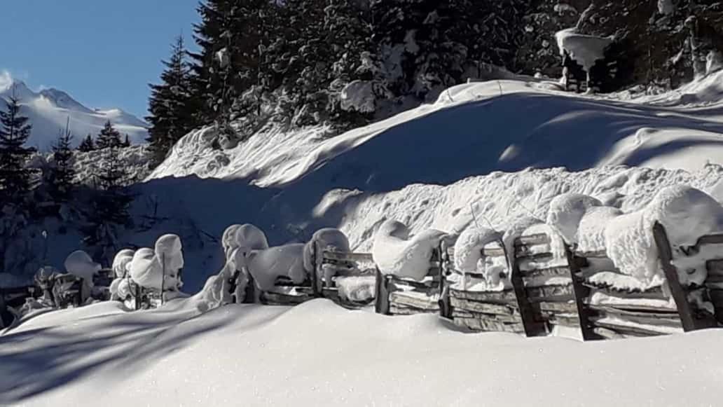 Apartment Jasmin Neustift im Stubaital Buitenkant foto